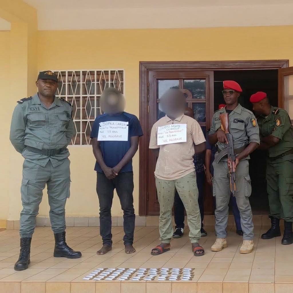 Cameroun : une cyberarnaque de 50 millions de FCFA démantelée